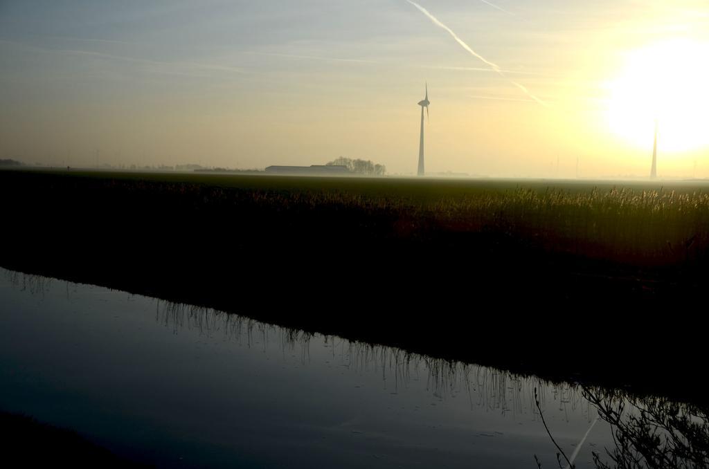 Am Alten Hafen Neuharlingersiel Eksteriør bilde